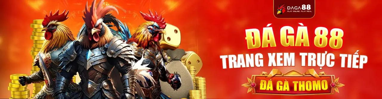 Đấu trường đá gà trực tiếp NA99 sôi động